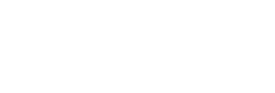 INSTITUTE FOR INTEGRATIVE INTELLIGENCE LLC